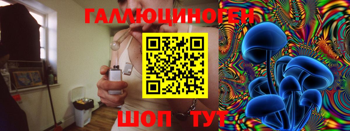 Россошь  Галлюциногенные грибы GOLDEN TEACHER  Псилоцибиновые грибы прущие грибы  где найти наркотики  Вход с VPN 